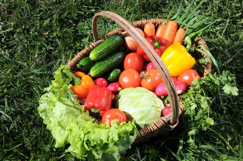 Fresh organic vegetables and herbs